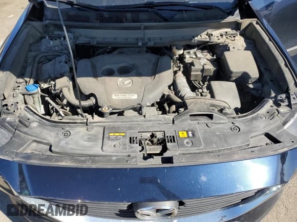 ✅ 2016 Mazda CX-9 Sport • VIN: JM3TCBBY6G0120552 • Lot: 48909625. Wystawiony na Copart z przebiegiem 126 802 mil. Bezpłatny archiwum sprzedaży aukcyjnych z USA i szczegółowy raport historii pojazdu na DreamBid. Zdjęcie 12.