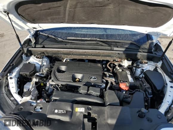 ✅ 2024 Lexus NX 250 • VIN: 2T2ADCAZ0RC007200 • Lot: 87024065. Wystawiony na Copart z przebiegiem 38 329 mil. Bezpłatny archiwum sprzedaży aukcyjnych z USA i szczegółowy raport historii pojazdu na DreamBid. Zdjęcie 12.