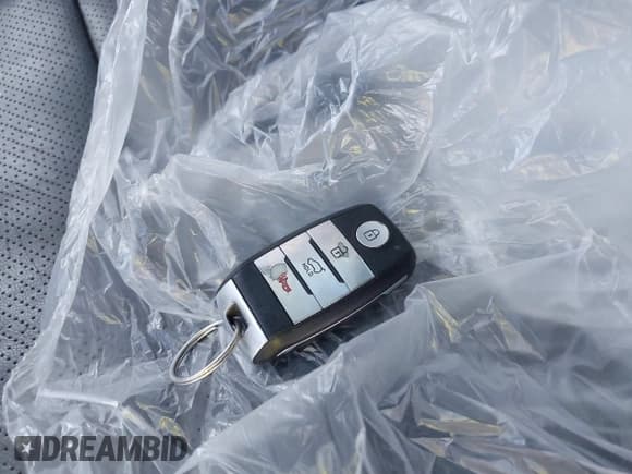 ✅ 2018 Kia Sorento EX • VIN: 5XYPH4A57JG362556 • Lot: 43437878. Listed on IAAI with 109,251 mi. Free auction sales archive from the USA and detailed vehicle history report at DreamBid. Image 11.