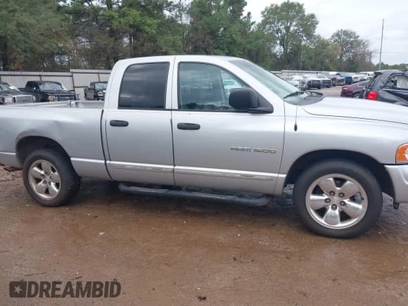 ✅ 2003 Dodge 1500 ST • VIN: 1D7HA18N93S316601 • Lot: 40773782. Listed on IAAI with 182,963 mi. Free auction sales archive from the USA and detailed vehicle history report at DreamBid. Image 13.