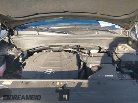 ✅ 2024 Hyundai Palisade Calligraphy • VIN: KM8R7DGE8RU698516 • Лот: 40601972. Опубликован ранее на IAAI с пробегом 8 238 миль. Бесплатный доступ к архиву аукционных продаж из США и подробный отчёт об истории автомобиля на DreamBid. Изображение 10.