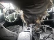 ✅ 2017 Chevrolet Traverse LT • VIN: 1GNKRGKDXHJ347498 • Lot: 67078334. Wystawiony na Copart z przebiegiem Nie podano. Bezpłatny archiwum sprzedaży aukcyjnych z USA i szczegółowy raport historii pojazdu na DreamBid. Zdjęcie 8.