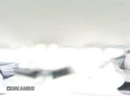 ✅ 2016 Hyundai Elantra SE • VIN: 5NPDH4AE9GH777852 • Lot: 85574245. Listed on Copart with 117,686 mi. Free auction sales archive from the USA and detailed vehicle history report at DreamBid. Image 14.