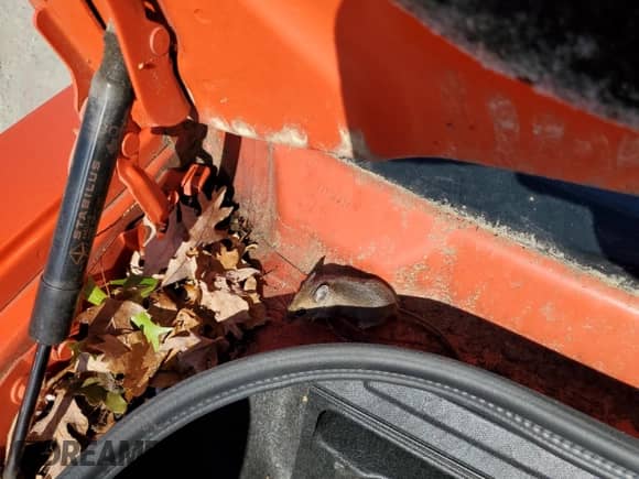 2013 Dodge Challenger R/T Plus z VIN 2C3CDYBT9DH733502, wystawiony jako Copart lot #77064814 z przebiegiem 95 356 mil mil oraz Czysty tytuł • Clean title. Historia ofert i sprzedaży dostępna na DreamBid. Obrazek 12.