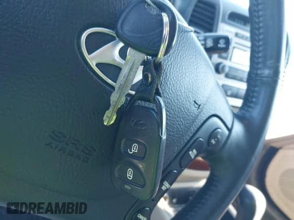 ✅ 2008 Hyundai Santa Fe SE • VIN: 5NMSH13E28H147964 • Lot: 43788666. Listed on IAAI with 162,883 mi. Free auction sales archive from the USA and detailed vehicle history report at DreamBid. Image 11.