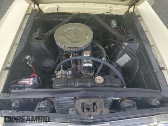 ✅ 1966 Ford Mustang • VIN: 6T07T252862 • Лот: 67235794. Опубликован ранее на Copart с пробегом 88 005 миль. Бесплатный доступ к архиву аукционных продаж из США и подробный отчёт об истории автомобиля на DreamBid. Изображение 11.