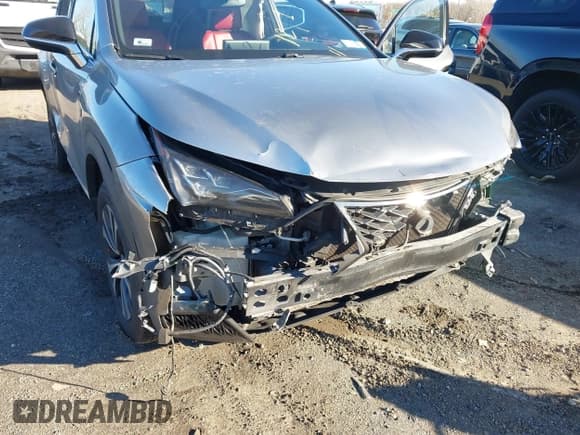 ✅ 2018 Lexus NX 300 • VIN: JTJBARBZ3J2150824 • Lot: 41016085. Wystawiony na IAAI z przebiegiem 130 354 mil. Bezpłatny archiwum sprzedaży aukcyjnych z USA i szczegółowy raport historii pojazdu na DreamBid. Zdjęcie 17.