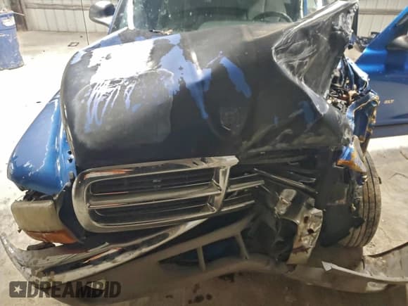 ✅ 1999 Dodge Dakota SLT • VIN: 1B7FL26X4XS284720 • Lot: 95535445. Listed on Copart with Not provided. Free auction sales archive from the USA and detailed vehicle history report at DreamBid. Image 11.