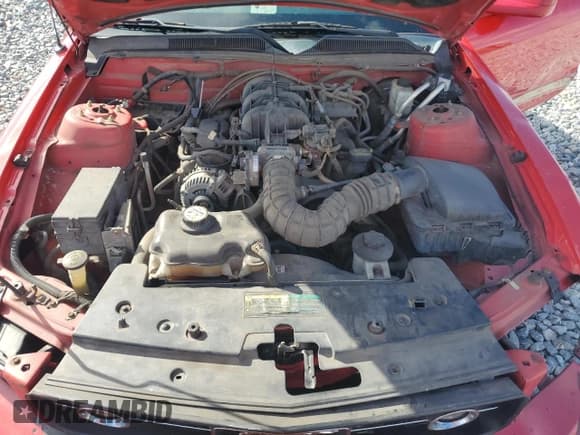 ✅ 2009 Ford Mustang • VIN: 1ZVHT84N195143129 • Lot: 85766555. Listed on Copart with 180,850 mi. Free auction sales archive from the USA and detailed vehicle history report at DreamBid. Image 11.