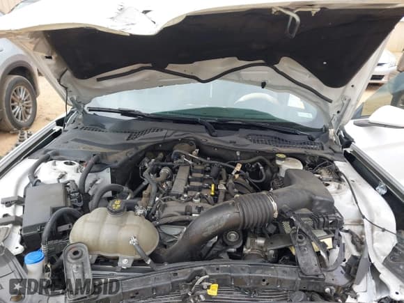 ✅ 2021 Ford Mustang EcoBoost • VIN: 1FA6P8TH9M5101140 • Lot: 43309485. Listed on IAAI with 69,861 mi. Free auction sales archive from the USA and detailed vehicle history report at DreamBid. Image 10.