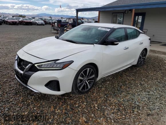 ✅ 2023 Nissan Maxima SV • VIN: 1N4AA6CV0PC510732 • Lot: 84805295. Wystawiony na Copart z przebiegiem 56 354 mil. Bezpłatny archiwum sprzedaży aukcyjnych z USA i szczegółowy raport historii pojazdu na DreamBid. Zdjęcie 1.