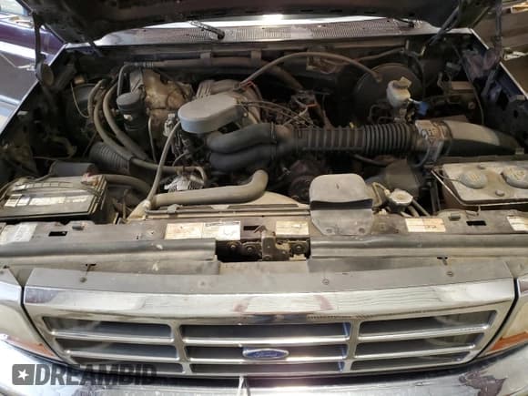 ✅ 1994 Ford F-150 • VIN: 1FTEX14N5RKB74354 • Lot: 61545735. Listed on Copart with 187,642 mi. Free auction sales archive from the USA and detailed vehicle history report at DreamBid. Image 11.