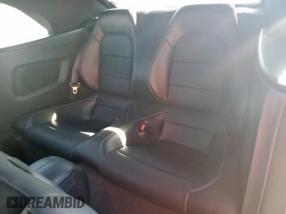 ✅ 2017 Ford Mustang GT Premium • VIN: 1FATP8FF0H5317025 • Lot: 86540225. Wystawiony na Copart z przebiegiem 66 615 mil. Bezpłatny archiwum sprzedaży aukcyjnych z USA i szczegółowy raport historii pojazdu na DreamBid. Zdjęcie 10.