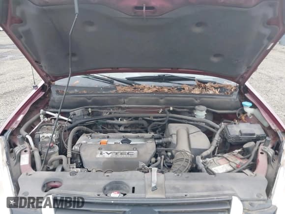 ✅ 2002 Honda CR-V EX • VIN: JHLRD78832C053715 • Лот: 43836649. Опубликован ранее на IAAI с пробегом 182 960 миль. Бесплатный доступ к архиву аукционных продаж из США и подробный отчёт об истории автомобиля на DreamBid. Изображение 10.