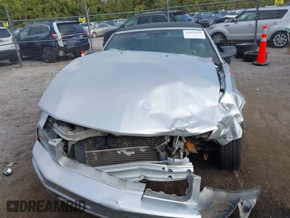 ✅ 2009 Ford Mustang • VIN: 1ZVHT84N095114611 • Lot: 43427616. Listed on IAAI with 81,282 mi. Free auction sales archive from the USA and detailed vehicle history report at DreamBid. Image 12.