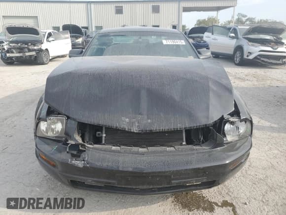 ✅ 2009 Ford Mustang • VIN: 1ZVHT80N495129229 • Lot: 71190415. Listed on Copart with 106,896 mi. Free auction sales archive from the USA and detailed vehicle history report at DreamBid. Image 5.