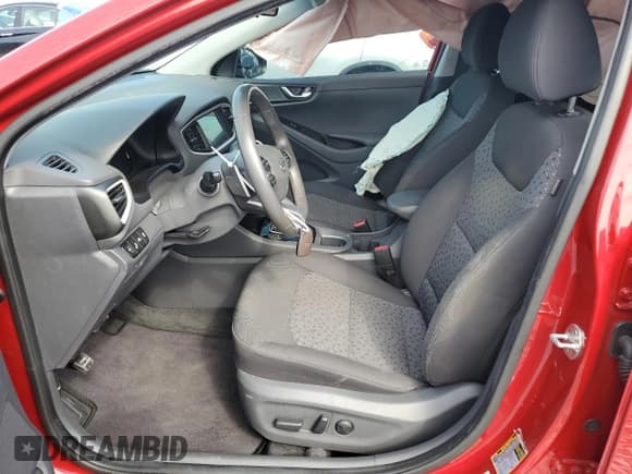 ✅ 2019 Hyundai Ioniq SEL • VIN: KMHC75LC2KU126332 • Lot: 47211665. Wystawiony na Copart z przebiegiem 42 861 mil. Bezpłatny archiwum sprzedaży aukcyjnych z USA i szczegółowy raport historii pojazdu na DreamBid. Zdjęcie 7.