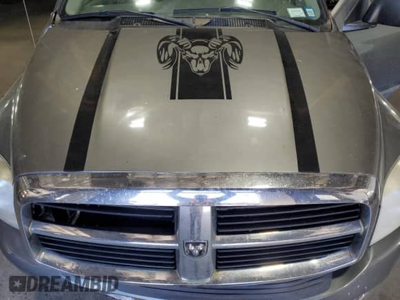 2008 Dodge 1500 SLT с VIN 1D7HU182X8S583749, выставлен на аукционе Copart как лот 72175904 с пробегом Не указан миль и Списание • Salvage title. История ставок и продаж доступна на DreamBid. Изображение 13.