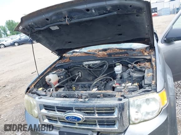 ✅ 2012 Ford Escape XLT • VIN: 1FMCU9D76CKB01240 • Лот: 42486476. Опубликован ранее на IAAI с пробегом 86 533 миль. Бесплатный доступ к архиву аукционных продаж из США и подробный отчёт об истории автомобиля на DreamBid. Изображение 10.