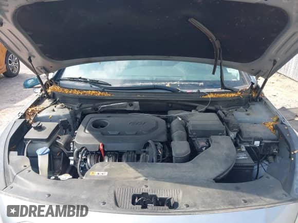 2015 Hyundai Sonata SE с VIN 5NPE24AF3FH157866, выставлен на аукционе IAAI как лот 43257891 с пробегом Не указан миль и . История ставок и продаж доступна на DreamBid. Изображение 10.