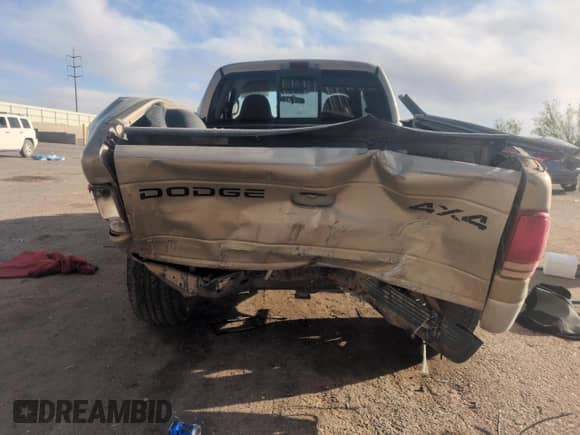 2002 Dodge Dakota SLT with VIN 1B7GG42N52S695478, listed as a Copart auction lot 51848235 with Not provided miles and Salvage title. Bid and sale history available at DreamBid. Image 6.