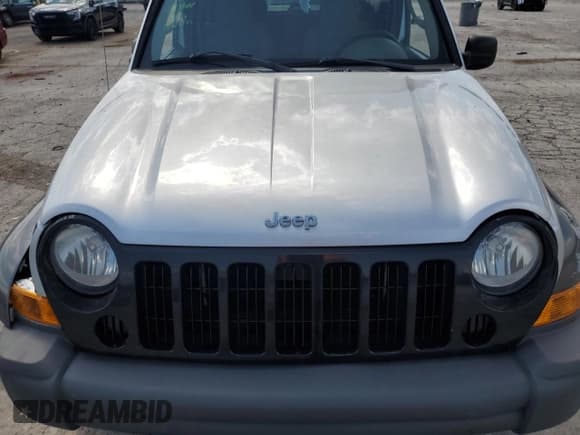 ✅ 2006 Jeep Liberty Sport • VIN: 1J4GK48KX6W169528 • Лот: 69046685. Опубликован ранее на Copart с пробегом Не указан. Бесплатный доступ к архиву аукционных продаж из США и подробный отчёт об истории автомобиля на DreamBid. Изображение 12.