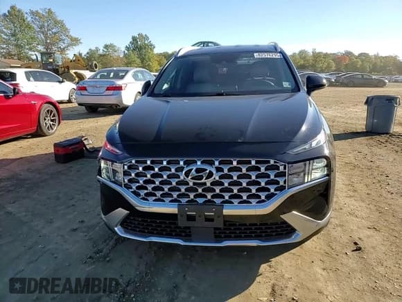 ✅ 2021 Hyundai Santa Fe SEL • VIN: 5NMS2DAJ1MH309998 • Лот: 82576295. Опубликован ранее на Copart с пробегом 39 983 миль. Бесплатный доступ к архиву аукционных продаж из США и подробный отчёт об истории автомобиля на DreamBid. Изображение 14.