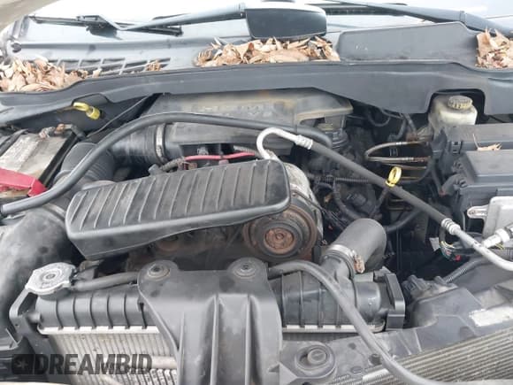 ✅ 2008 Chrysler Aspen Limited • VIN: 1A8HW58218F111663 • Lot: 43737899. Wystawiony na IAAI z przebiegiem 199 790 mil. Bezpłatny archiwum sprzedaży aukcyjnych z USA i szczegółowy raport historii pojazdu na DreamBid. Zdjęcie 10.