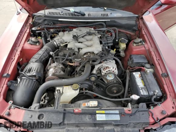 ✅ 2004 Ford Mustang Deluxe • VIN: 1FAFP44484F115156 • Lot: 75246024. Listed on Copart with Not provided. Free auction sales archive from the USA and detailed vehicle history report at DreamBid. Image 12.