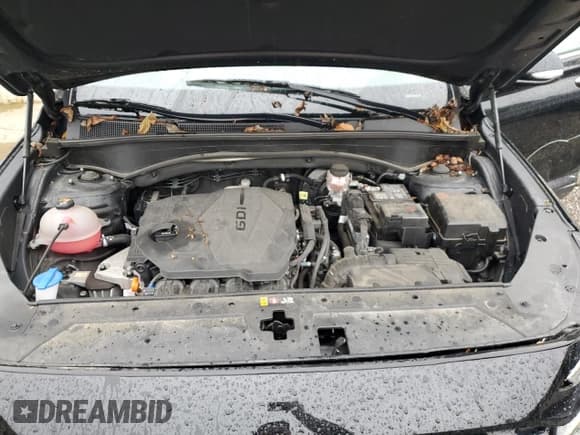 ✅ 2023 Hyundai Santa Fe SEL • VIN: 5NMS2DAJ1PH609271 • Lot: 89517895. Wystawiony na Copart z przebiegiem 36 588 mil. Bezpłatny archiwum sprzedaży aukcyjnych z USA i szczegółowy raport historii pojazdu na DreamBid. Zdjęcie 12.