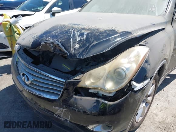 ✅ 2010 Infiniti EX Journey • VIN: JN1AJ0HP5AM703383 • Lot: 43082191. Listed on IAAI with 133,571 mi. Free auction sales archive from the USA and detailed vehicle history report at DreamBid. Image 6.