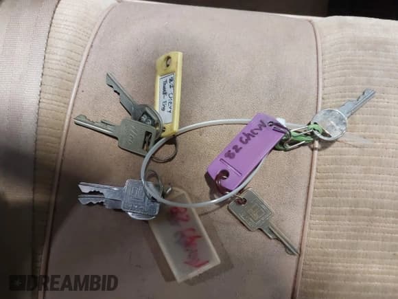 ✅ 1982 Chevrolet Caprice • VIN: 1G1AN69J9CX100512 • Лот: 43874871. Опубликован ранее на IAAI с пробегом 49 045 миль. Бесплатный доступ к архиву аукционных продаж из США и подробный отчёт об истории автомобиля на DreamBid. Изображение 11.