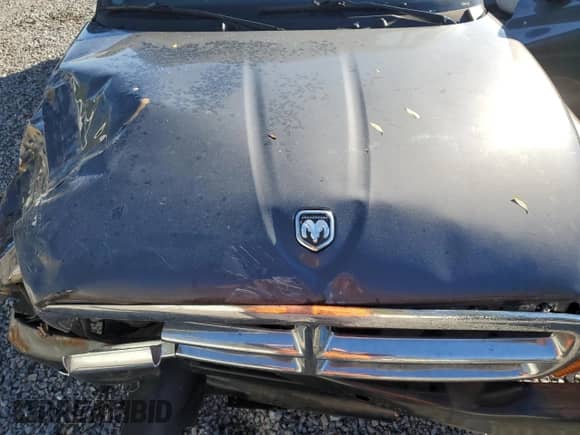 2003 Dodge Dakota Sport z VIN 1D7HL32X53S172240, wystawiony jako Copart lot #45607135 z przebiegiem Nie podano mil oraz Szkoda całkowita • Salvage title. Historia ofert i sprzedaży dostępna na DreamBid. Obrazek 12.