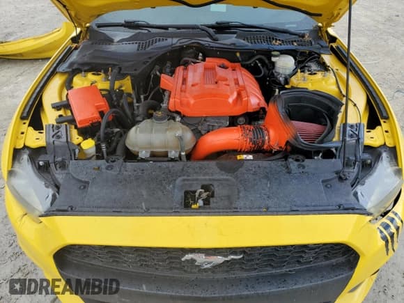 ✅ 2016 Ford Mustang EcoBoost Premium • VIN: 1FA6P8TH4G5281356 • Lot: 81689205. Listed on Copart with 70,335 mi. Free auction sales archive from the USA and detailed vehicle history report at DreamBid. Image 11.