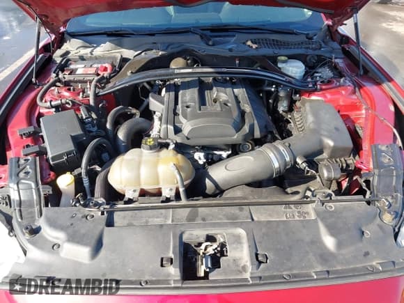 ✅ 2019 Ford Mustang EcoBoost • VIN: 1FA6P8TH5K5200793 • Lot: 43639634. Wystawiony na IAAI z przebiegiem 137 326 mil. Bezpłatny archiwum sprzedaży aukcyjnych z USA i szczegółowy raport historii pojazdu na DreamBid. Zdjęcie 10.