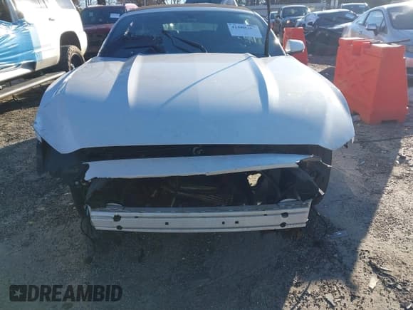 ✅ 2017 Ford Mustang EcoBoost Premium • VIN: 1FATP8UH9H5204503 • Lot: 41580389. Wystawiony na IAAI z przebiegiem Nie podano. Bezpłatny archiwum sprzedaży aukcyjnych z USA i szczegółowy raport historii pojazdu na DreamBid. Zdjęcie 12.