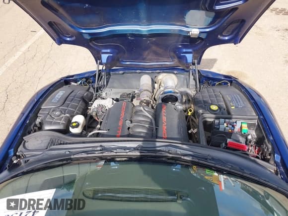 ✅ 2004 Chevrolet Corvette • VIN: 1G1YY32G245113036 • Лот: 42136101. Опубликован ранее на IAAI с пробегом Не указан. Бесплатный доступ к архиву аукционных продаж из США и подробный отчёт об истории автомобиля на DreamBid. Изображение 10.