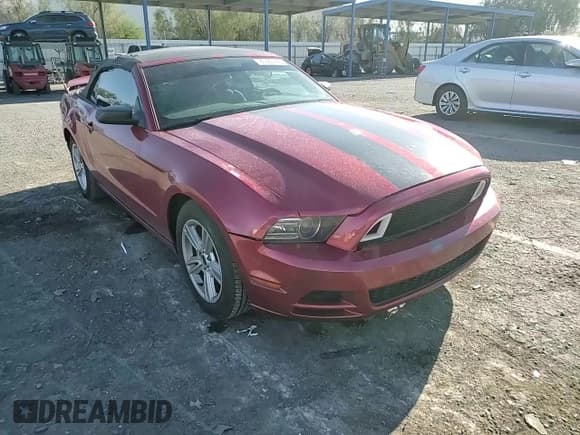 ✅ 2013 Ford Mustang V6 • VIN: 1ZVBP8EM0D5214040 • Lot: 80585445. Wystawiony na Copart z przebiegiem 139 015 mil. Bezpłatny archiwum sprzedaży aukcyjnych z USA i szczegółowy raport historii pojazdu na DreamBid. Zdjęcie 13.