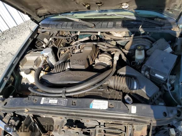 1998 Chevrolet S-10 LS z VIN 1GCCS1448W8128149, wystawiony jako Copart lot #78064114 z przebiegiem Nie podano mil oraz Szkoda całkowita • Salvage title. Historia ofert i sprzedaży dostępna na DreamBid. Obrazek 11.