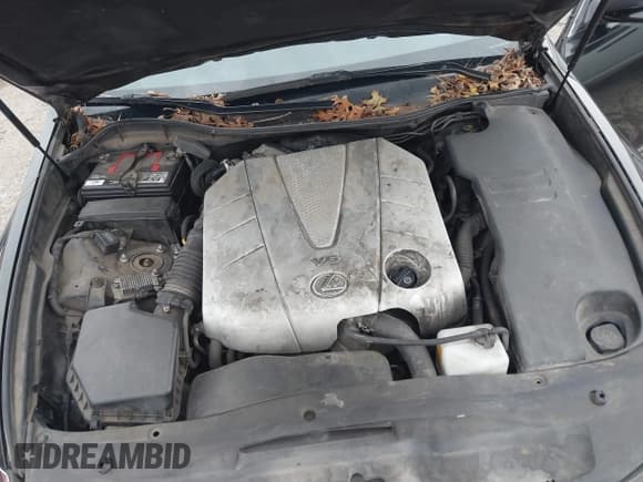 ✅ 2009 Lexus GS 350 • VIN: JTHBE96S790045732 • Lot: 43859017. Wystawiony na IAAI z przebiegiem 241 281 mil. Bezpłatny archiwum sprzedaży aukcyjnych z USA i szczegółowy raport historii pojazdu na DreamBid. Zdjęcie 10.