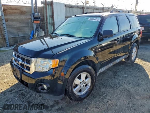 ✅ 2009 Ford Escape XLT • VIN: 1FMCU03719KC81572 • Lot: 95004615. Listed on Copart with 184,827 mi. Free auction sales archive from the USA and detailed vehicle history report at DreamBid. Image 1.