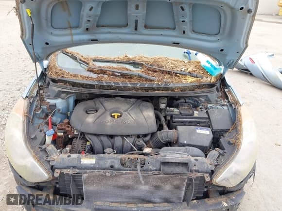 ✅ 2011 Hyundai Elantra GLS • VIN: KMHDH4AE9BU089585 • Lot: 42463477. Listed on IAAI with 203,775 mi. Free auction sales archive from the USA and detailed vehicle history report at DreamBid. Image 10.