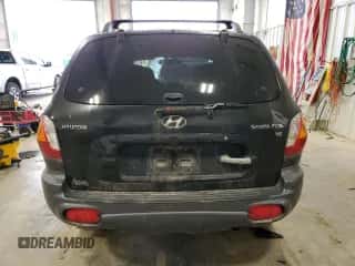 2003 Hyundai Santa Fe GLS с VIN KM8SC13D83U566100, выставлен на аукционе Copart как лот 47193955 с пробегом 166 060 миль миль и На запчасти • Non repairable. История ставок и продаж доступна на DreamBid. Изображение 6.