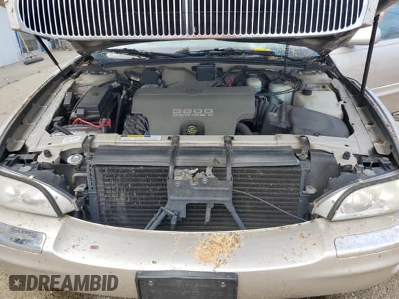 ✅ 1997 Buick Park Avenue • VIN: 1G4CW52K8V4619285 • Lot: 60069155. Wystawiony na Copart z przebiegiem 106 341 mil. Bezpłatny archiwum sprzedaży aukcyjnych z USA i szczegółowy raport historii pojazdu na DreamBid. Zdjęcie 11.