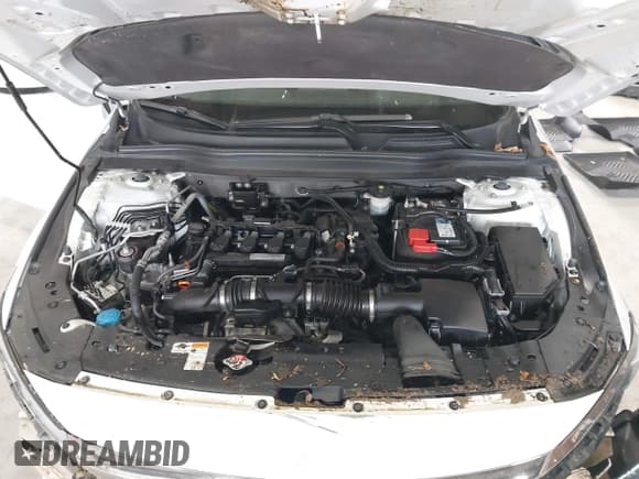 ✅ 2019 Honda Accord LX • VIN: 1HGCV1F12KA022469 • Lot: 43561361. Listed on IAAI with 43,267 mi. Free auction sales archive from the USA and detailed vehicle history report at DreamBid. Image 10.