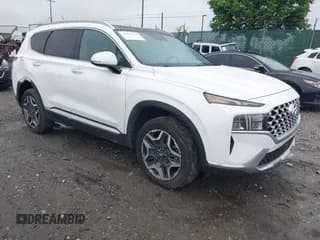 ✅ 2021 Hyundai Santa Fe SEL Premium • VIN: KM8S3DA14MU006747 • Lot: 42227174. Wystawiony na IAAI z przebiegiem 59 060 mil. Bezpłatny archiwum sprzedaży aukcyjnych z USA i szczegółowy raport historii pojazdu na DreamBid. Zdjęcie 1.