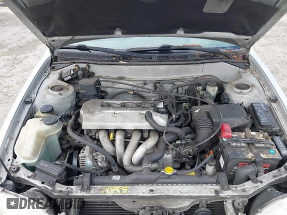 ✅ 1999 Toyota Corolla VE • VIN: 1NXBR12E8XZ243888 • Lot: 43007567. Listed on IAAI with Not provided. Free auction sales archive from the USA and detailed vehicle history report at DreamBid. Image 10.