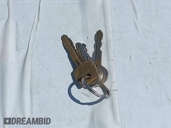 ✅ 1985 Ford F-150 • VIN: 1FTCF15H4FPA15620 • Lot: 42346242. Wystawiony na IAAI z przebiegiem 33 613 mil. Bezpłatny archiwum sprzedaży aukcyjnych z USA i szczegółowy raport historii pojazdu na DreamBid. Zdjęcie 11.