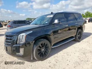 ✅ 2020 Cadillac Escalade Premium Luxury • VIN: 1GYS3CKJ3LR294236 • Lot: 66037075. Listed on Copart with Not provided. Free auction sales archive from the USA and detailed vehicle history report at DreamBid. Image 1.