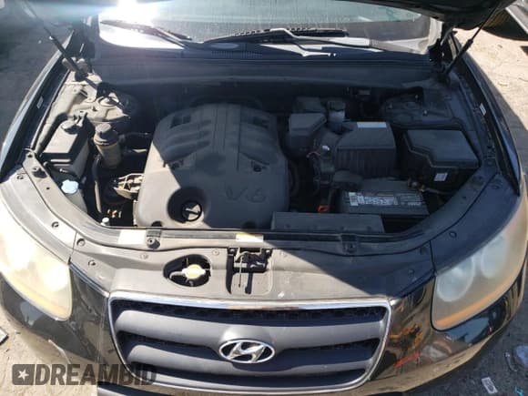 ✅ 2009 Hyundai Santa Fe Limited • VIN: 5NMSH13EX9H243245 • Lot: 70594564. Listed on Copart with 225,582 mi. Free auction sales archive from the USA and detailed vehicle history report at DreamBid. Image 12.